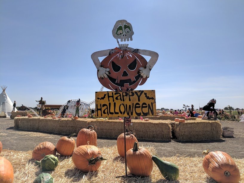 On Halloween and corn mazes Bright Lights of America