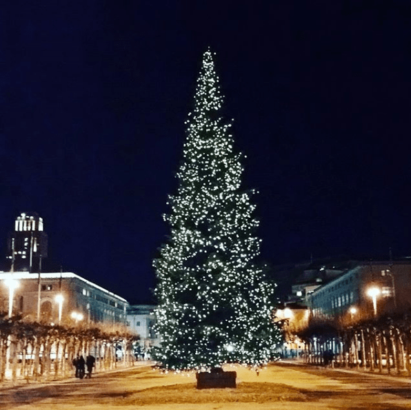6 Best Christmas activities in San Francisco Bright Lights of America
