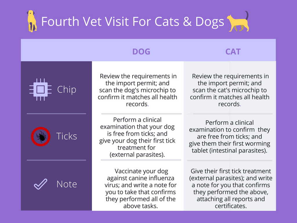 A Guide to bringing pets to Australia Bright Lights of America