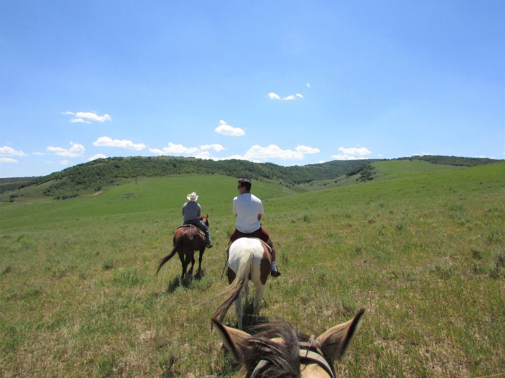 Things to do in Steamboat Springs, Colorado Bright Lights of America