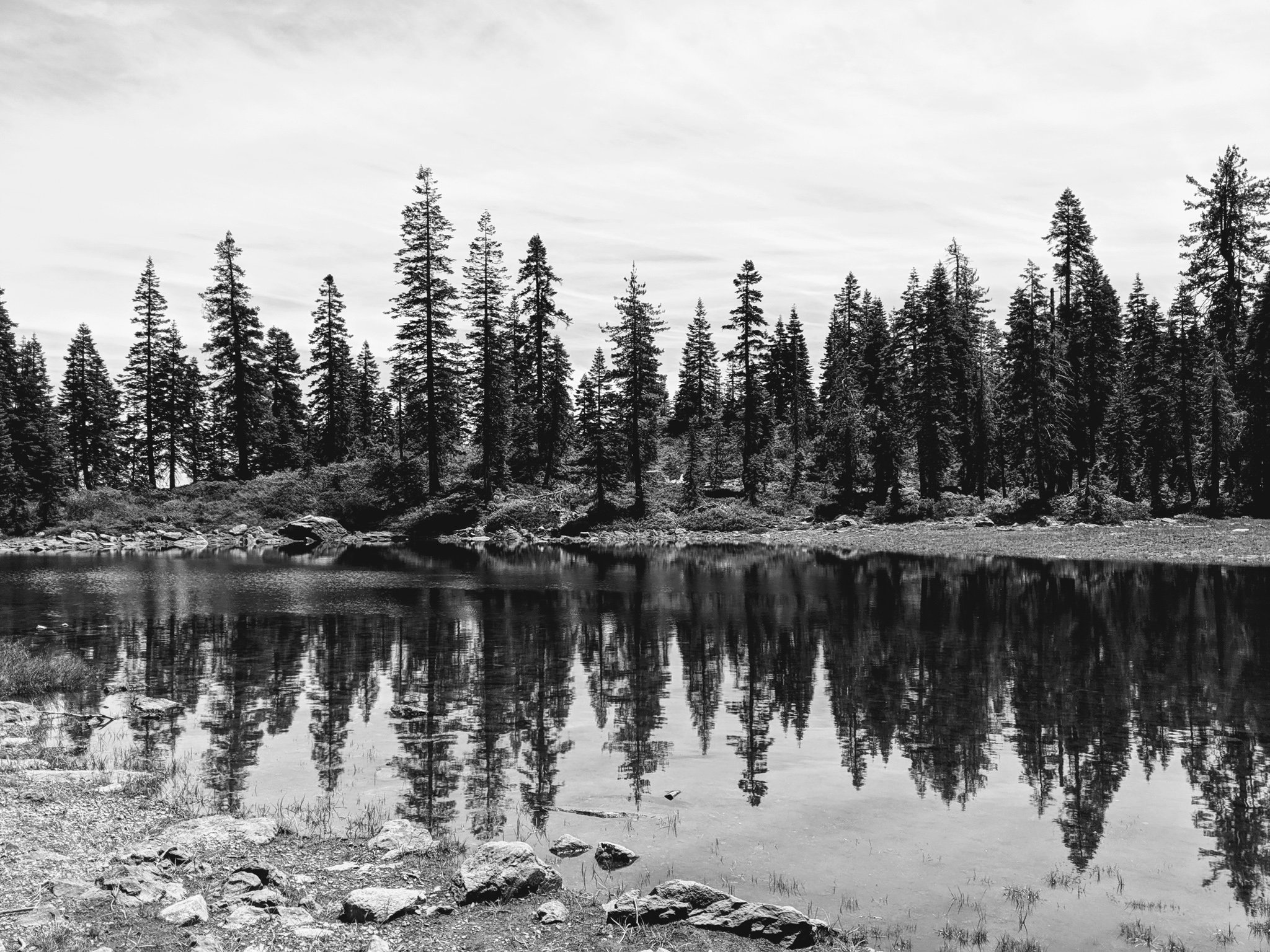 Experience Castle Lake Trail's epic views Bright Lights of America