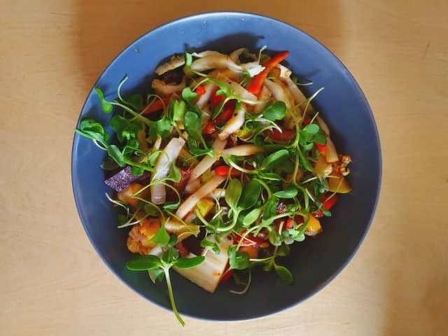Vegan Travel Tips for Riga, Latvia Bright Nomad