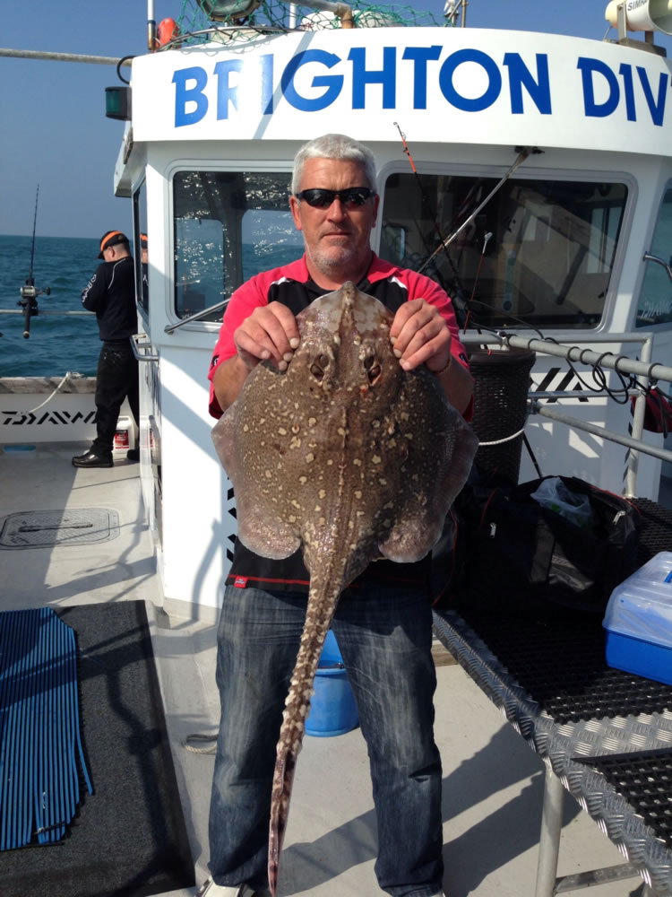 Fishing Trips Brighton Brighton Diver