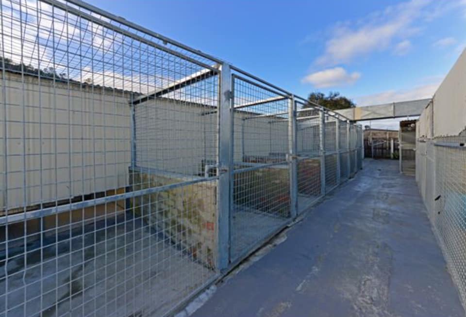 About us Brighton Kennels and Cattery