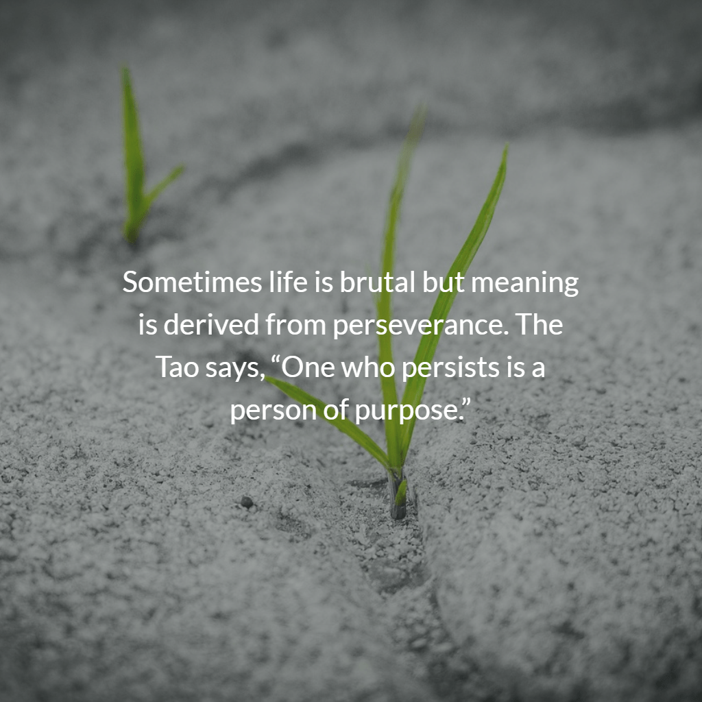 The Secret to a Meaningful Life is Simpler Than You Think Bright