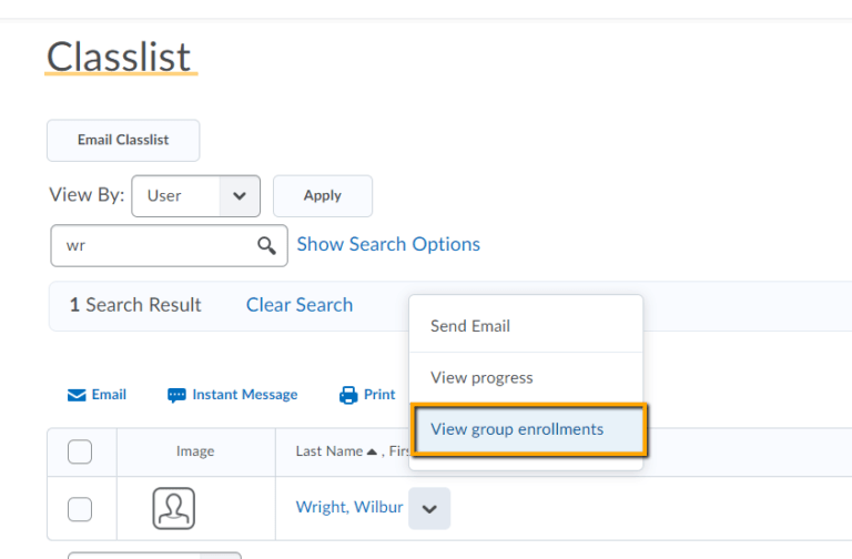 How do my students access their groups ? to Brightspace Resources