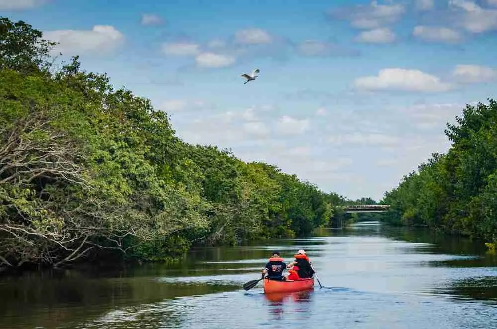 Best Things to do inside Biscayne National Park Florida!