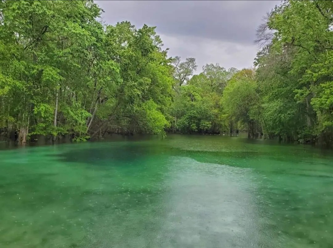 How Many State Parks are in Florida?