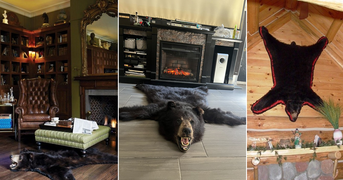 12 Amazing Bear Rug Display Ideas ⋆ Bright Stuffs