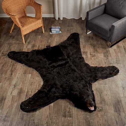 12 Amazing Bear Rug Display Ideas ⋆ Bright Stuffs