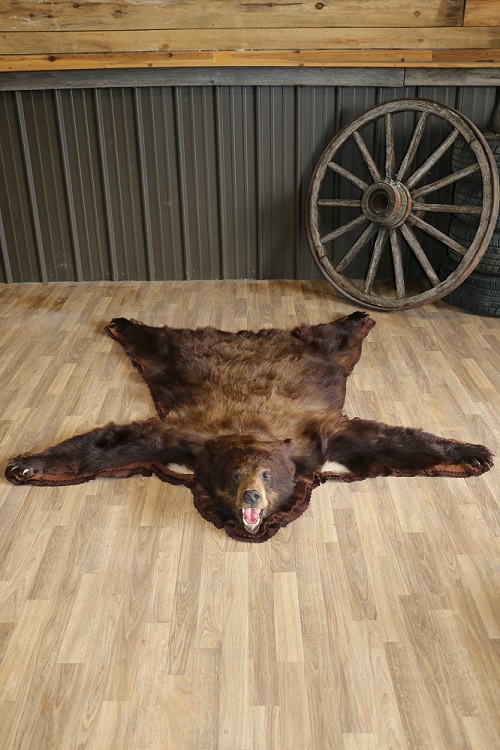 12 Amazing Bear Rug Display Ideas ⋆ Bright Stuffs