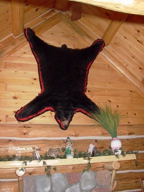 12 Amazing Bear Rug Display Ideas ⋆ Bright Stuffs