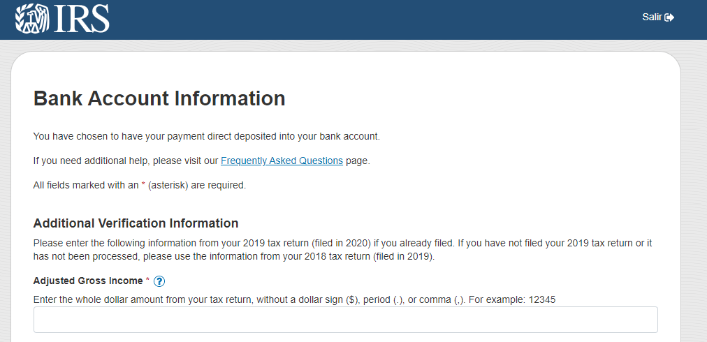 Troubleshooting Guide to the IRS Get My Payment Tool for Expats