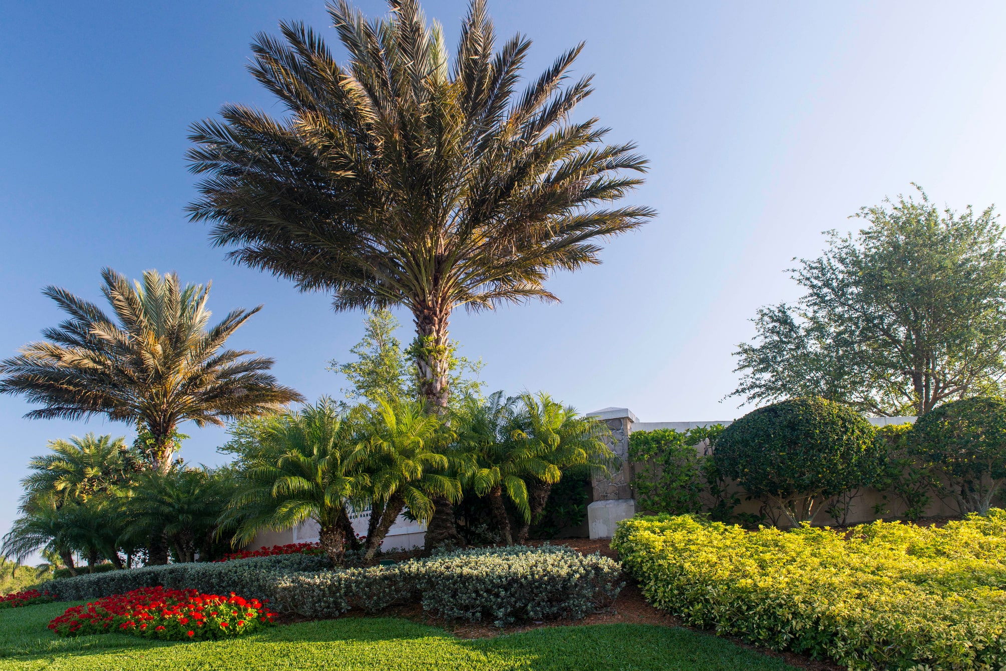 Port Charlotte, FL Commercial Landscape Services Company BrightView