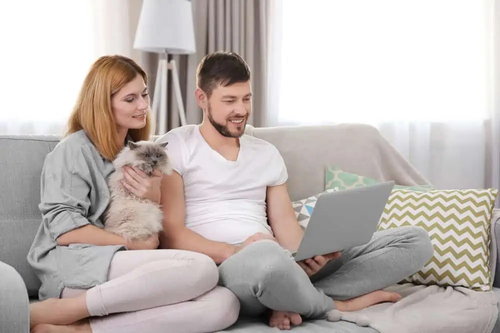 Why Do Ragdoll Cats Not Cause Allergies in People? Bright Whiskers