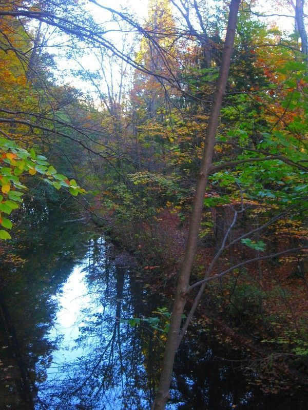 Hymne Vangelis (Flûte de Pan)