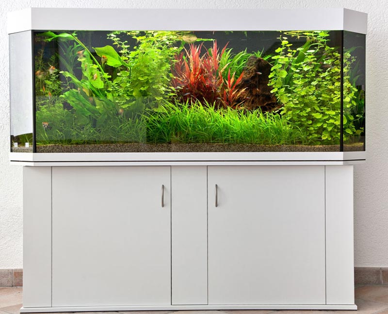 Aquarienbau BrillantAquarium. Aquariumbau Profiline