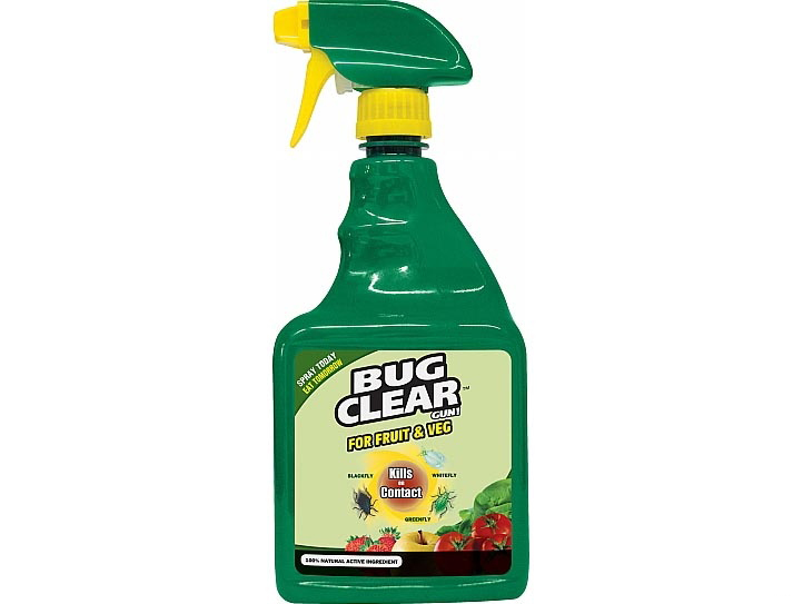 Bonsai Glossary brilliantbonsai