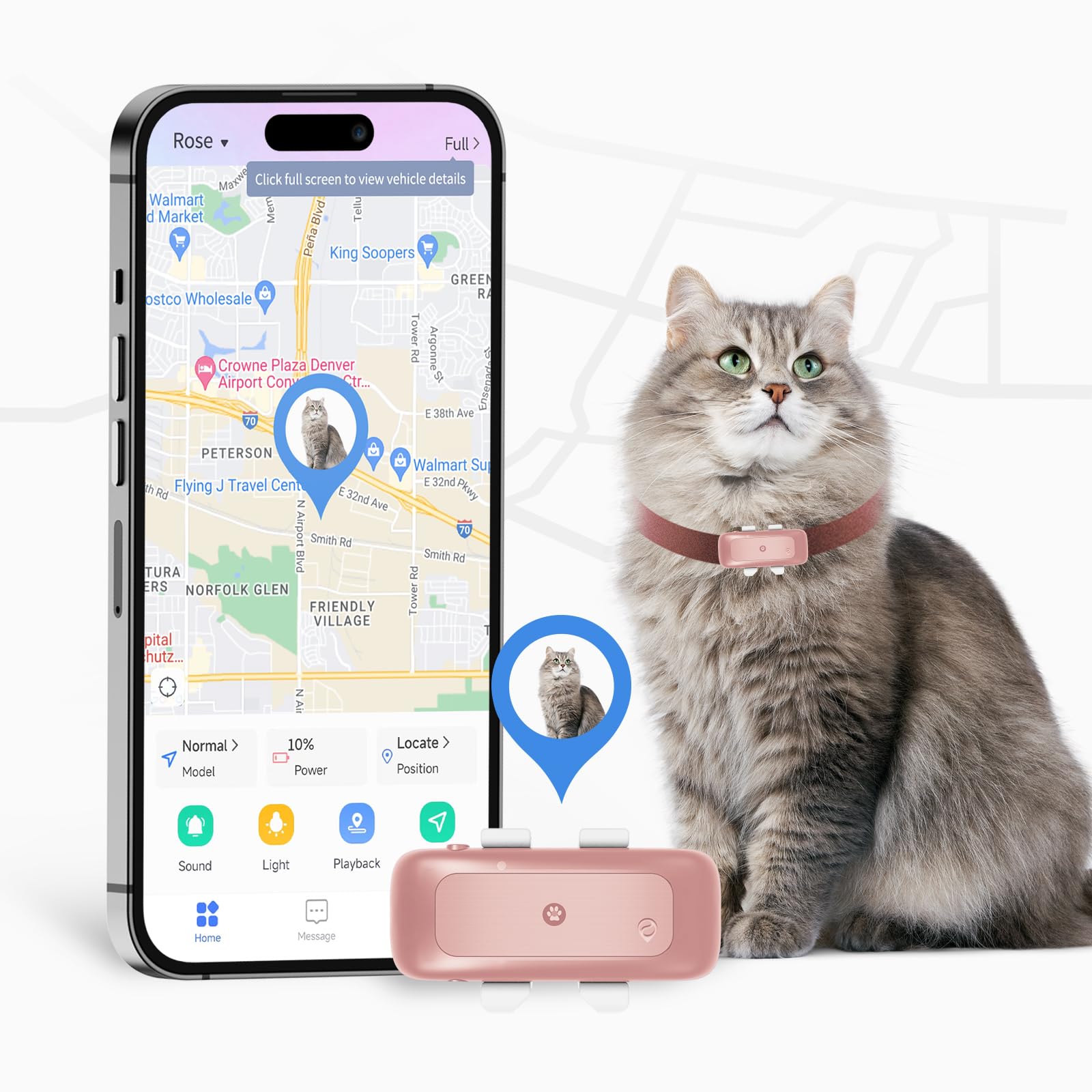 11 Best GPS Trackers for Cats Keeping Tabs On Your Feline Friend