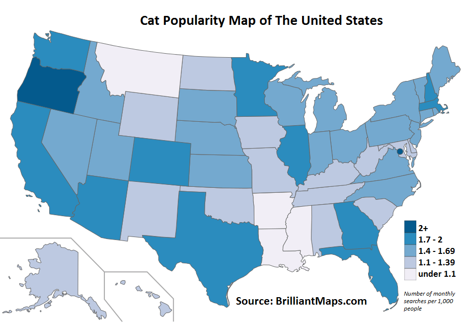 Dog Vs Cat Map Of The United States Popularity By State Brilliant Maps