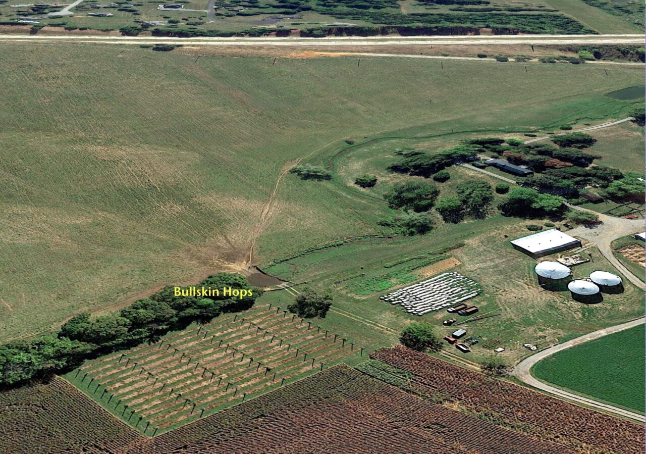 Growers needed for WV hops