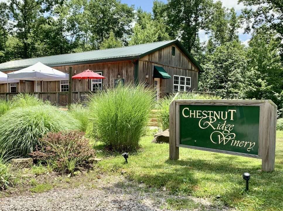 Visit to Chestnut Ridge Winery