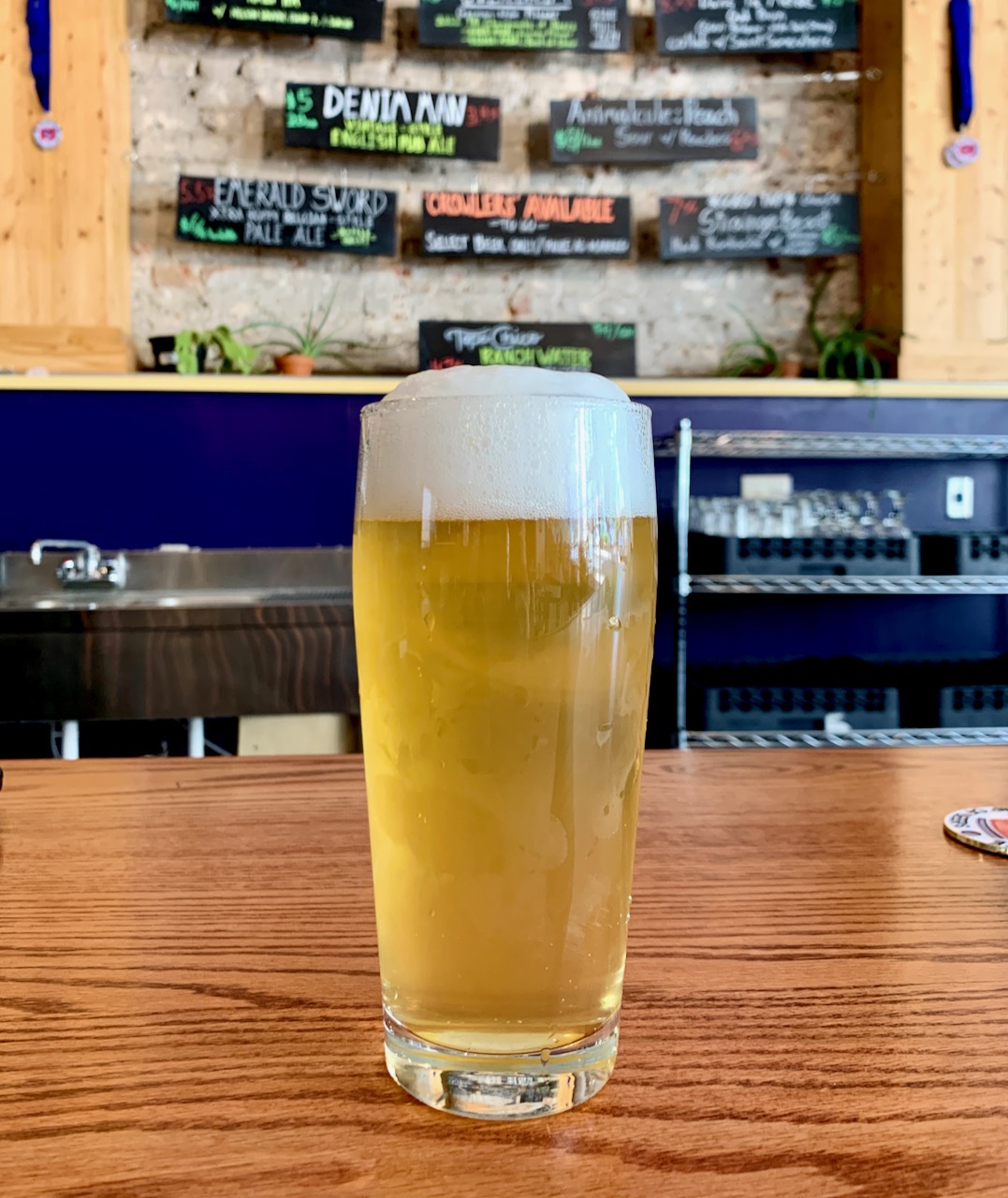 Little Animals makes mammoth beer impact