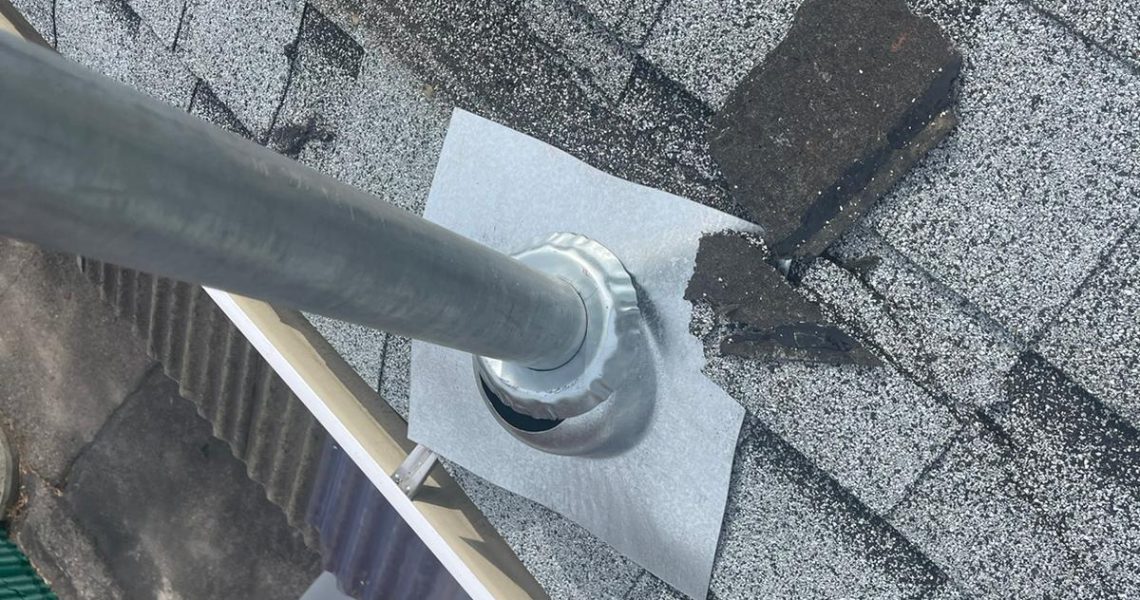 Squirrel chewed shingles and nested in the attic in Vaughan, ON