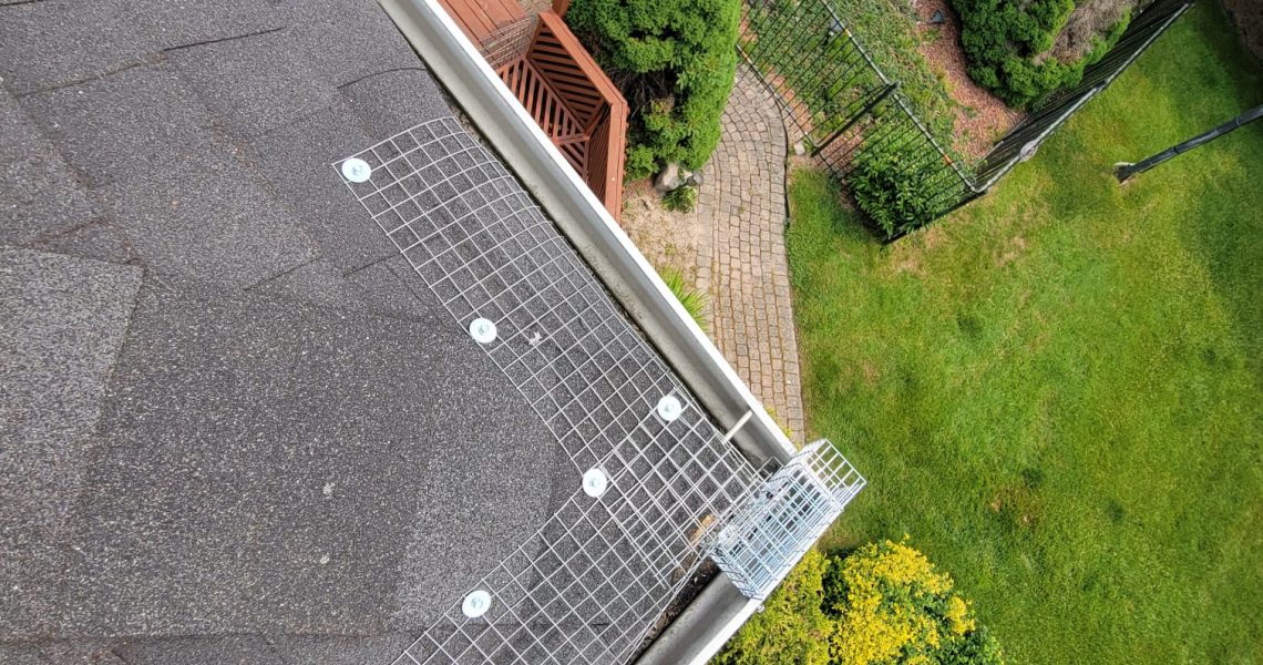 Squirrel chewed shingles to make an opening through an attic in