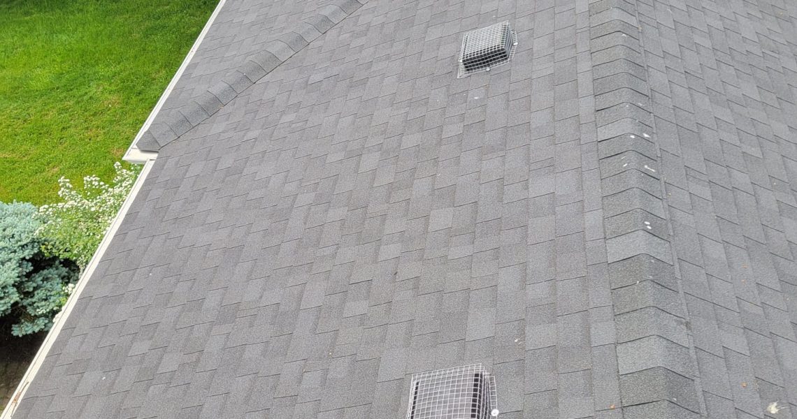 Squirrel chewed shingles to make an opening through an attic in