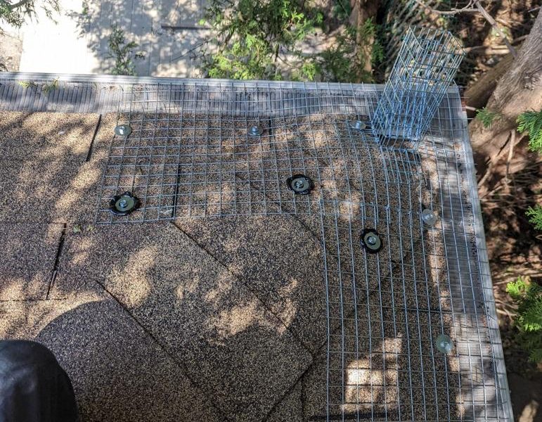 Squirrel got into the attic through a chewed shingles in Mississauga