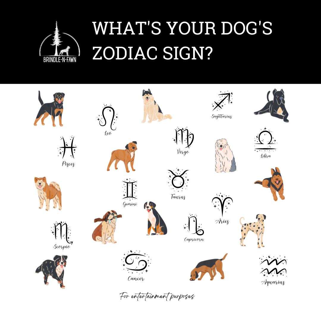 What’s Your Dog’s Zodiac Sign? BrindlenFawn