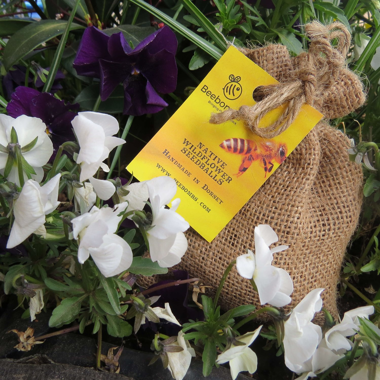 Bee Bombs Increase Bee Population Help Wildlife