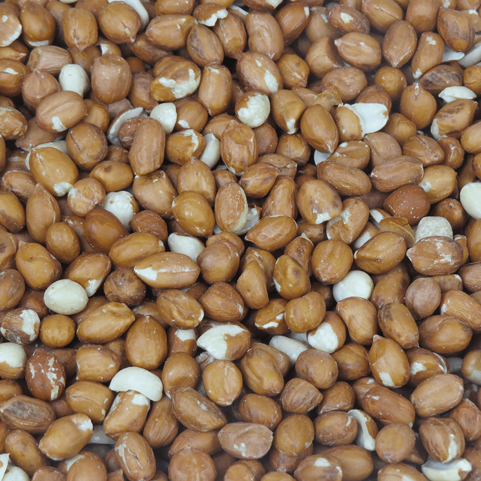 Peanuts for Birds Wild Bird Peanuts 1kg 25kg Brinvale