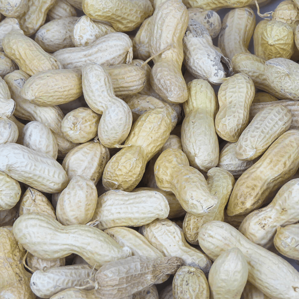 Bird Peanuts UK Up to 25kg Brinvale Bird Foods