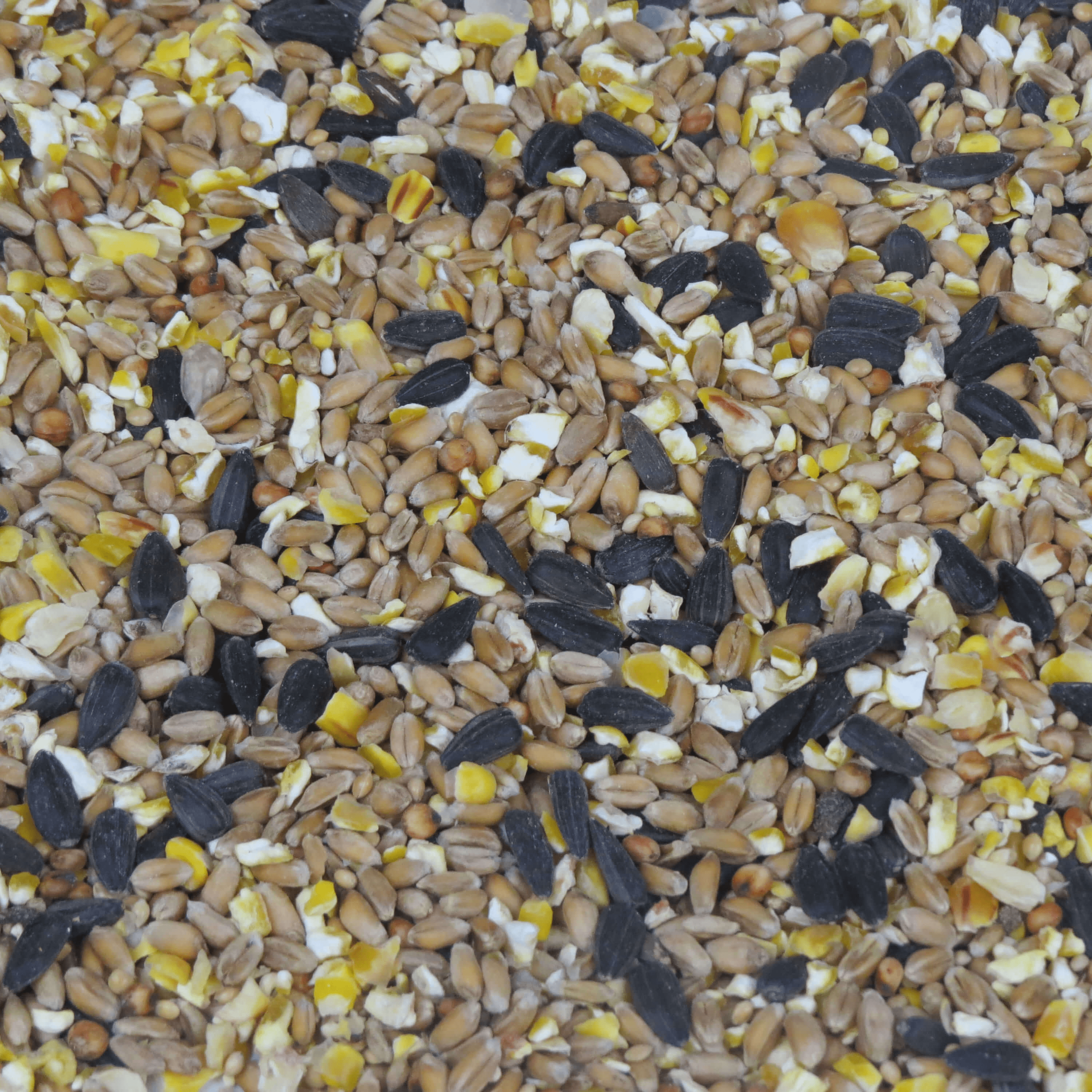 Blackbirds Food Mix Brinvale Bird Foods