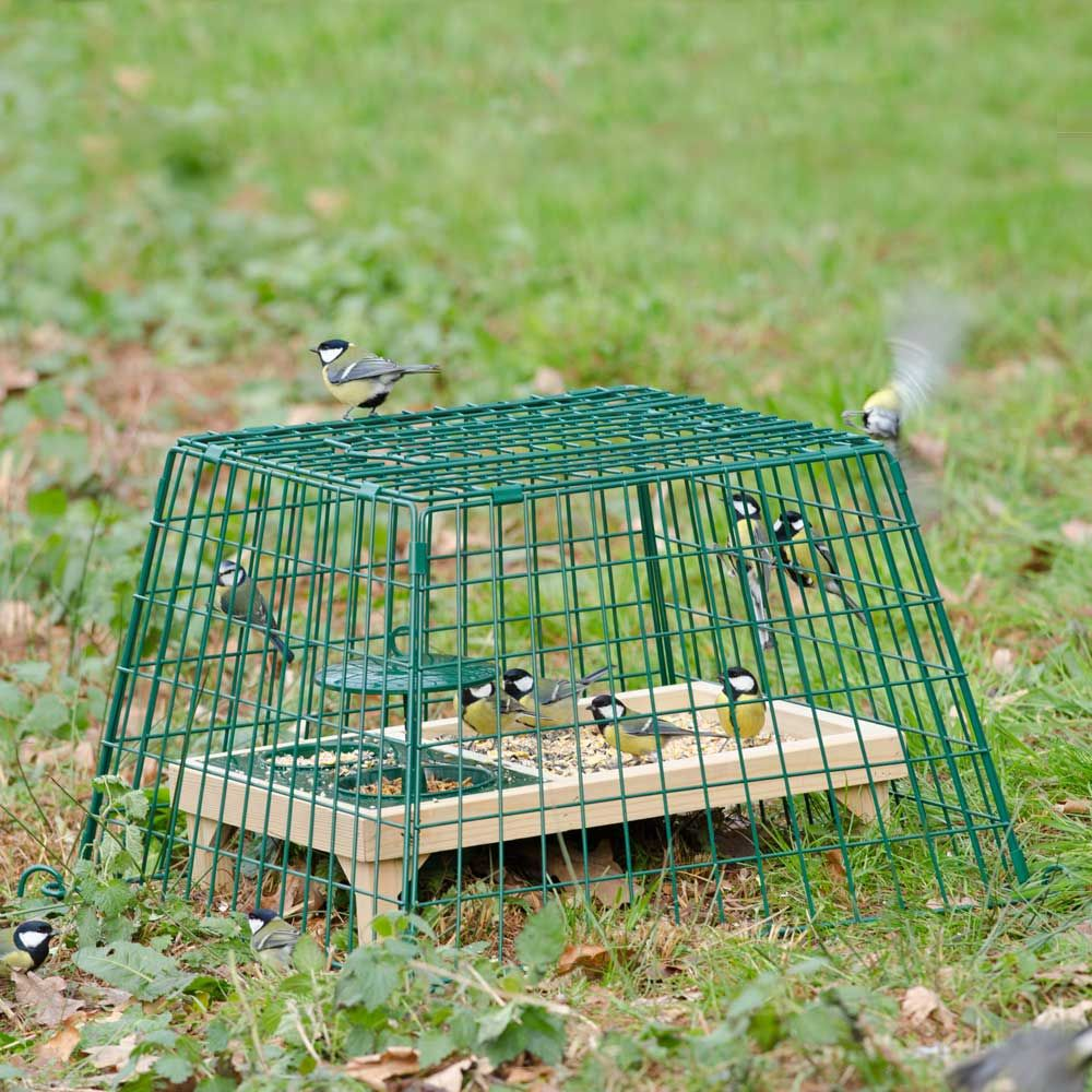 Ground Bird Feeder Cage Brinvale Bird Foods