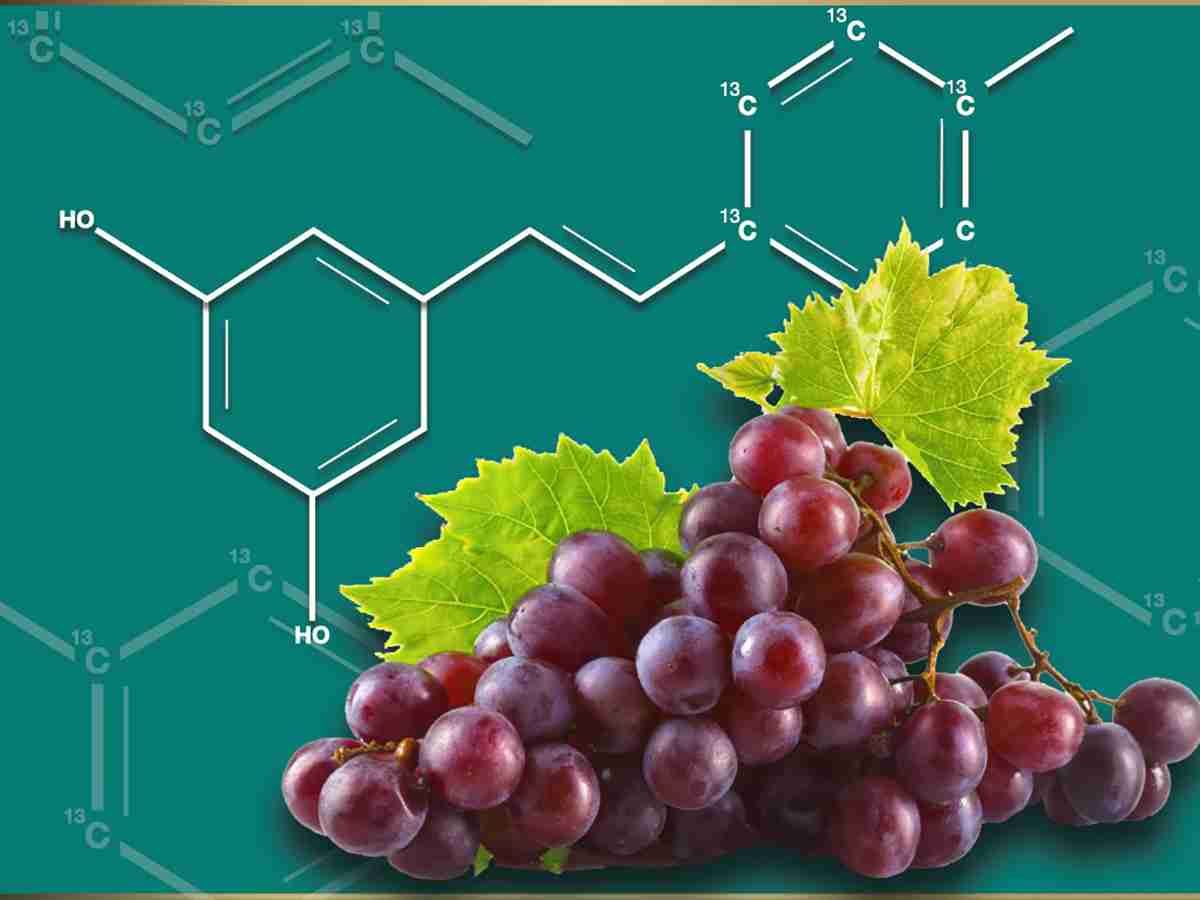 Resveratrol And Cancer Advantages Of Resveratrol IV Therapy