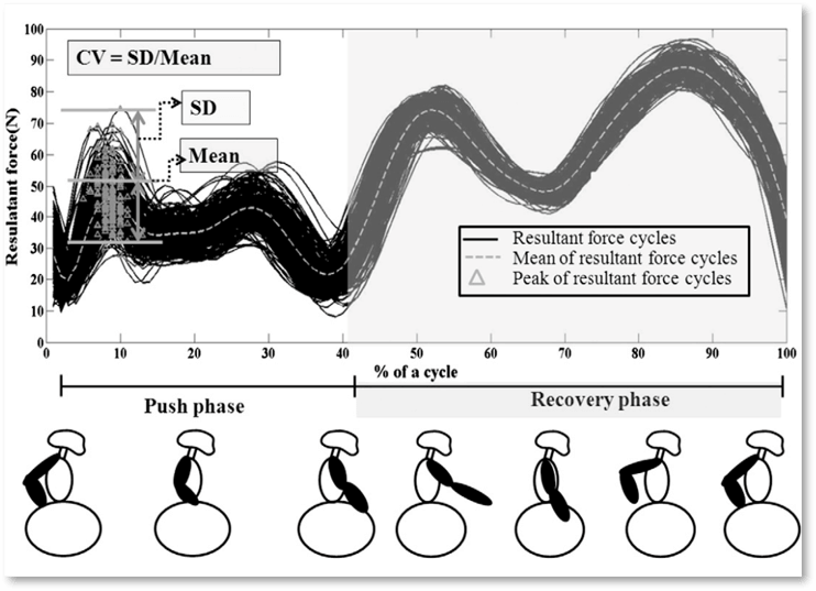 WheelchairPropulsion Briometrix