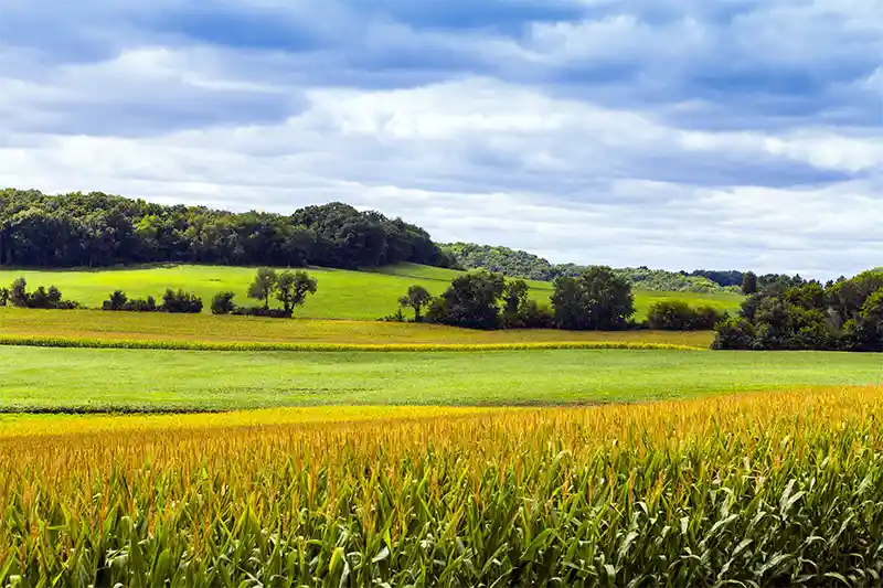 Brisbane House a Historic Wisconsin Vacation Rental Home