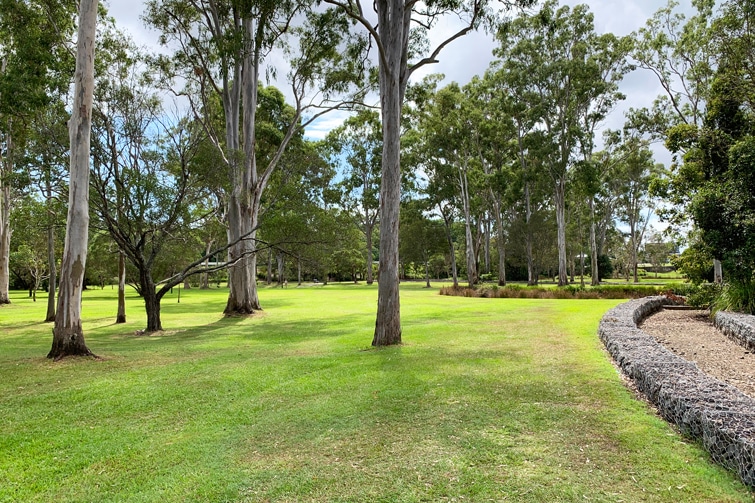 Capalaba Regional Park Brisbane Kids