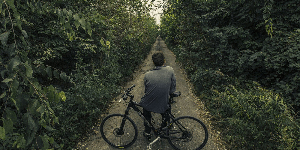 8 Best Road Bikes Under 300 Brisk Biker