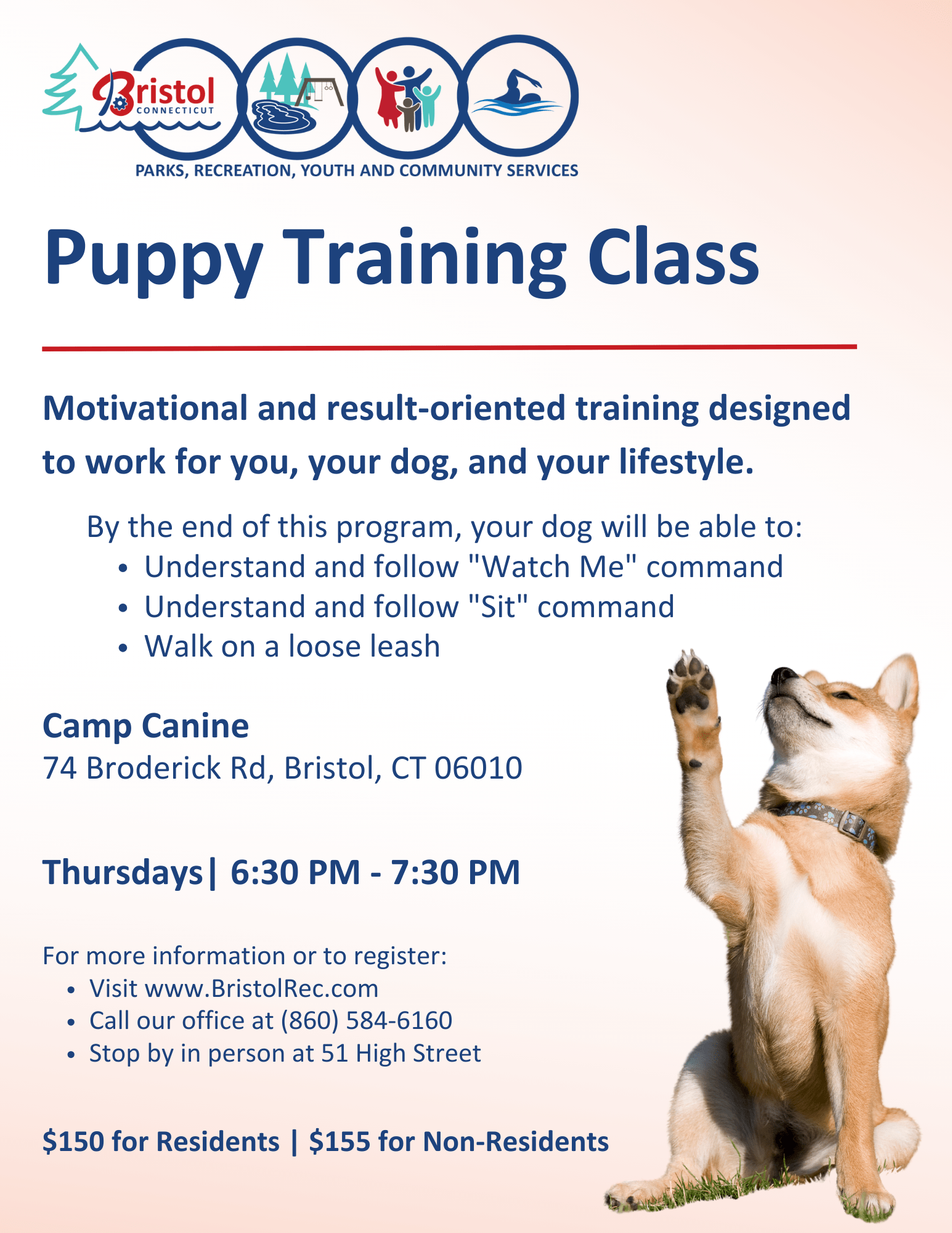 Bristol Parks, Recreation, Youth and Community Services Puppy Training