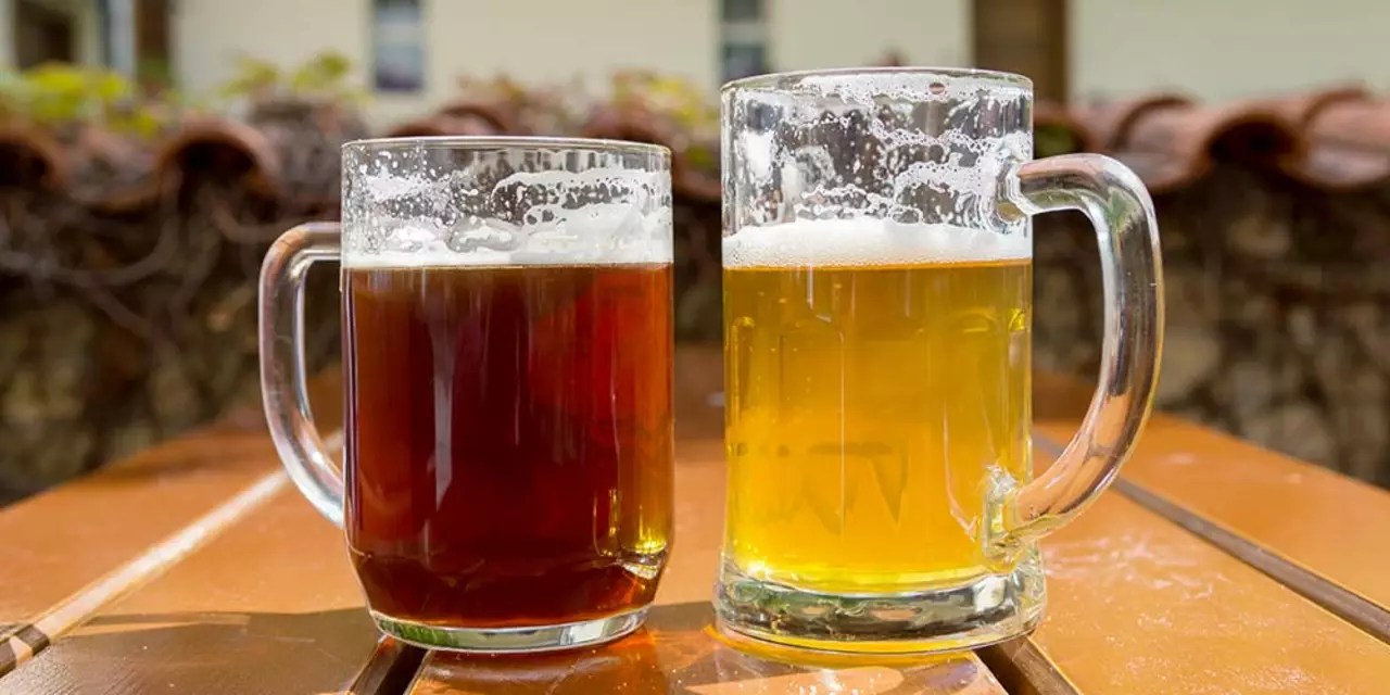 Why does ale taste better than lager? Bristol Beer Guide