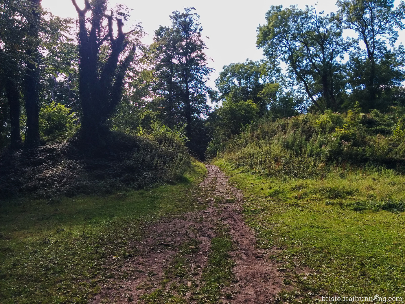 C_13 bristol trail running