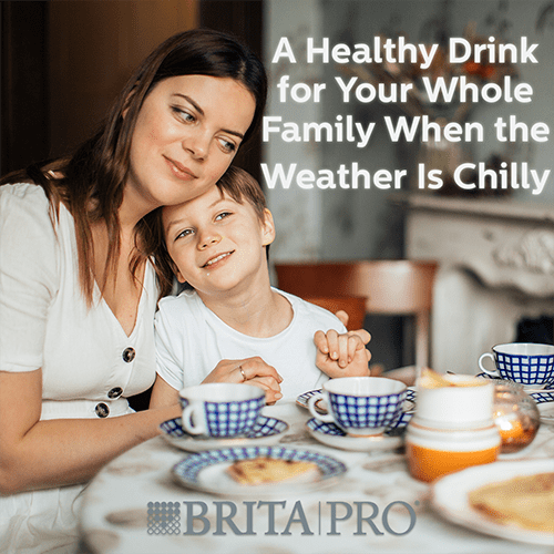 Brita Filter Water For Dogs