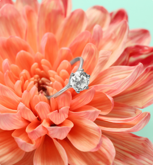 The Best Jewelry Insurance Coverage BriteCo™