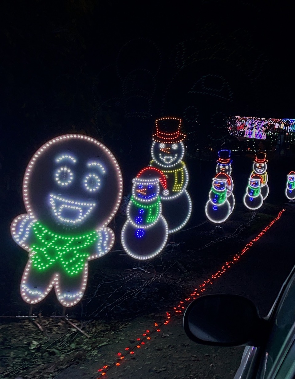 Christmas In Color Drive Thru Experience 2022! ⋆ Brite and Bubbly