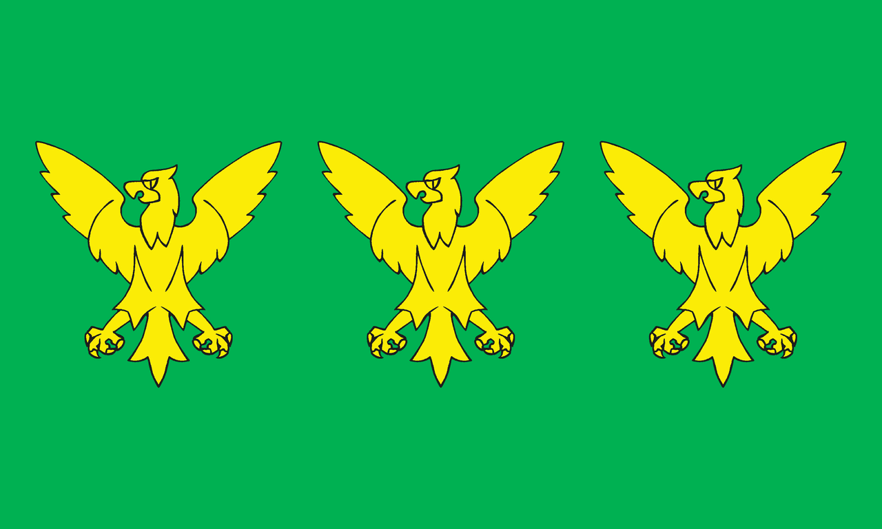 Caernarfonshire Day British County Flags