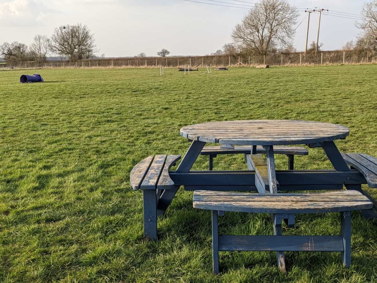 REVIEW Deanshanger Secure Dog Walking Field, Deanshanger